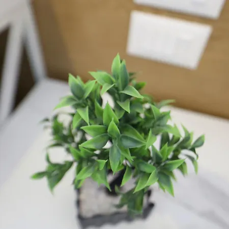 Veranda Boutique 1 3* Vlorë