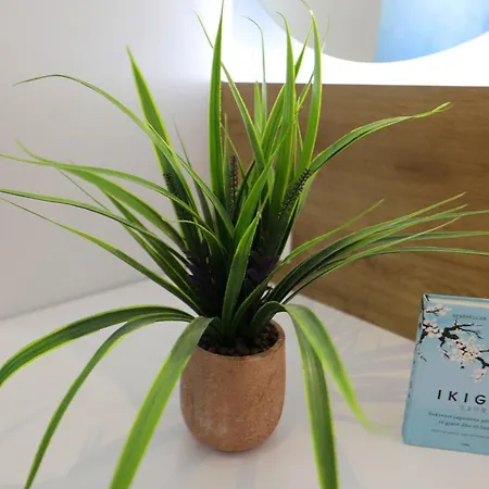 Veranda Boutique 1 Hotel 3*