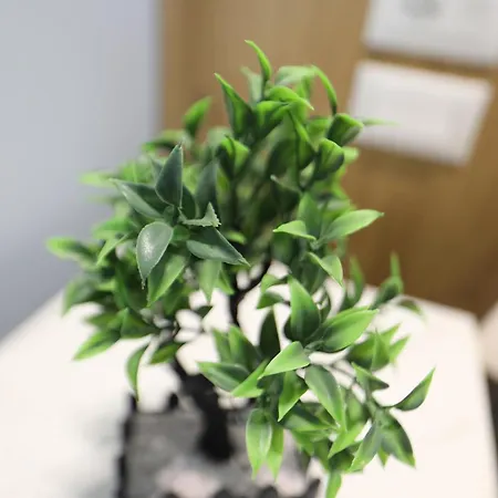 Veranda Boutique 1 3*