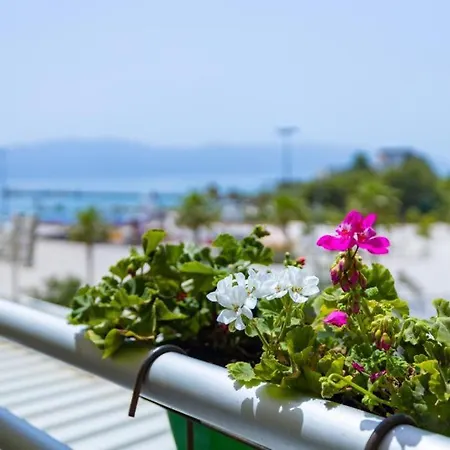 Hotel Veranda Boutique 1